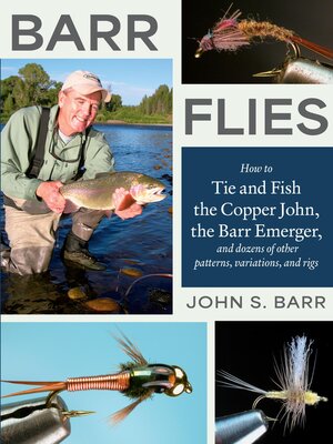 cover image of Barr Flies